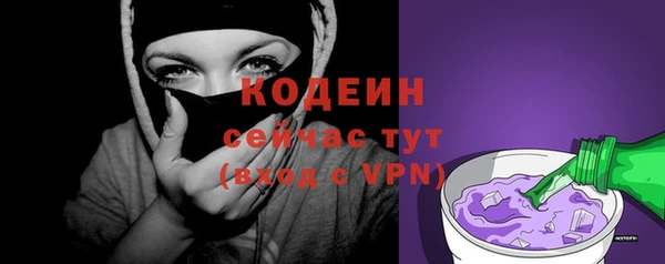 индика Михайлов