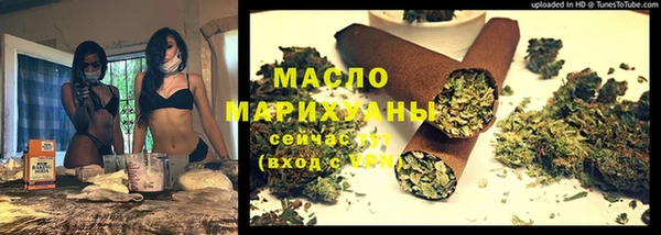 индика Михайлов